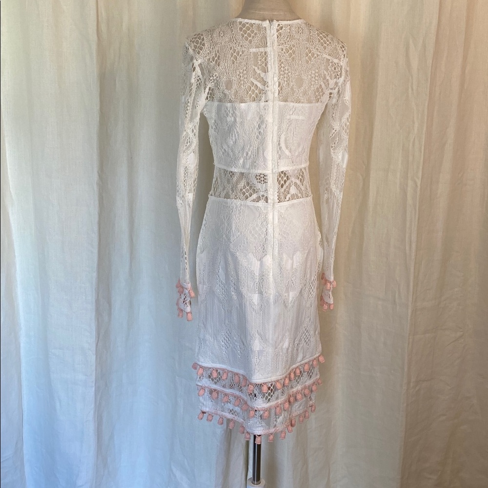 Venus Lace Dress - Picture 4 of 8